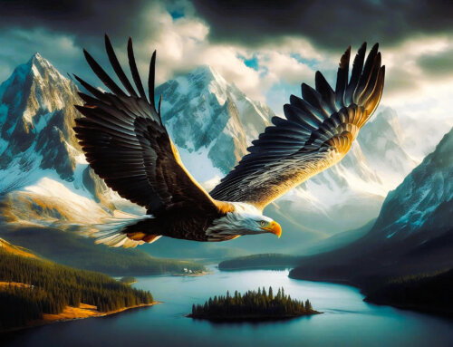 Fly Away